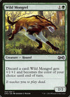 Cartas-magic-cartas-pokemon-coleccionables