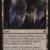 Evolving Wilds [Modern Masters 2015]
