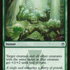 Echoing Courage [Masters 25]