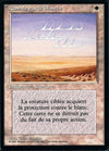 White Ward [Foreign Black Border]