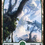 Forest (278) [Zendikar Rising]
