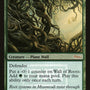 Wall of Roots [Friday Night Magic 2008]