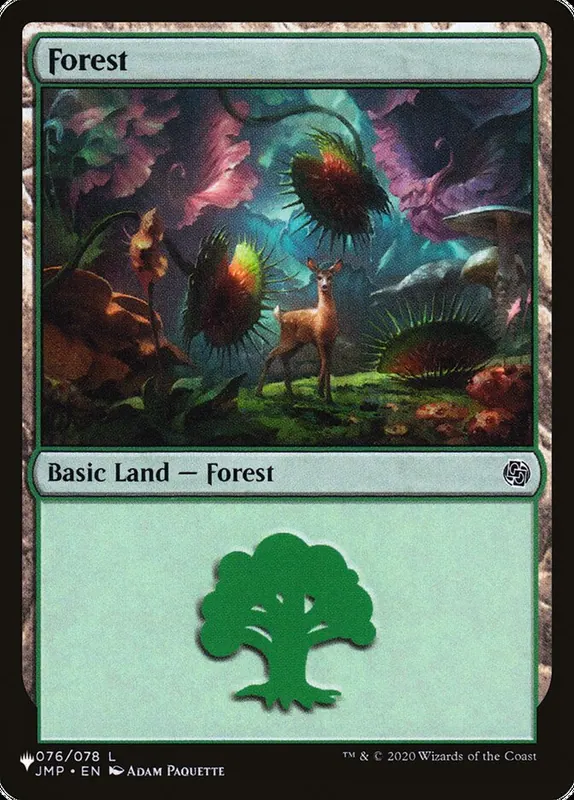 Forest [The List]