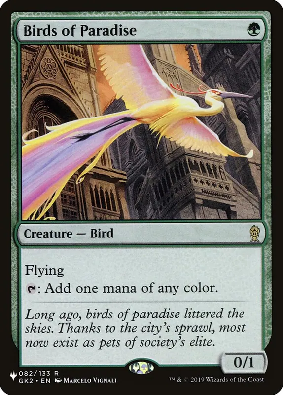 Birds of Paradise [The List]