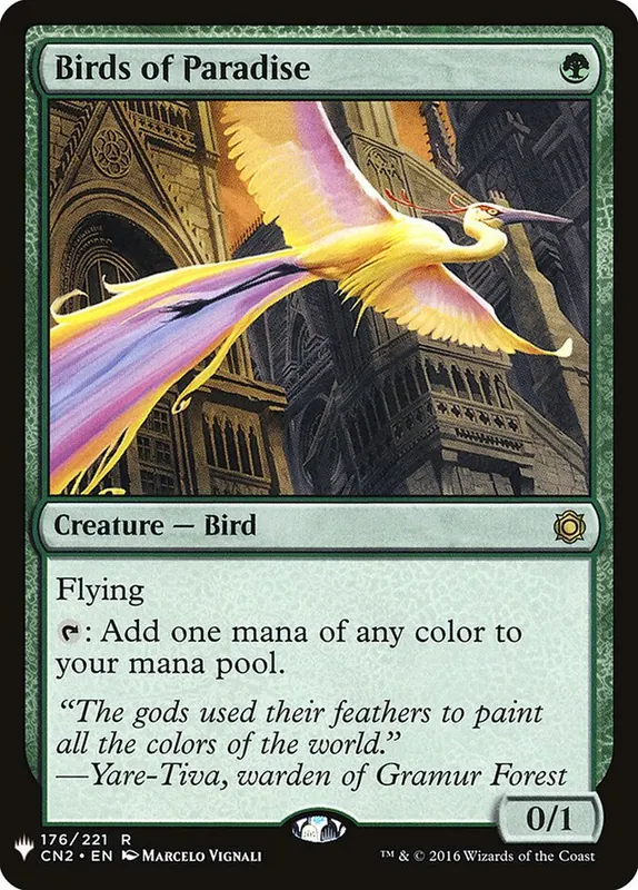 Birds of Paradise [The List]