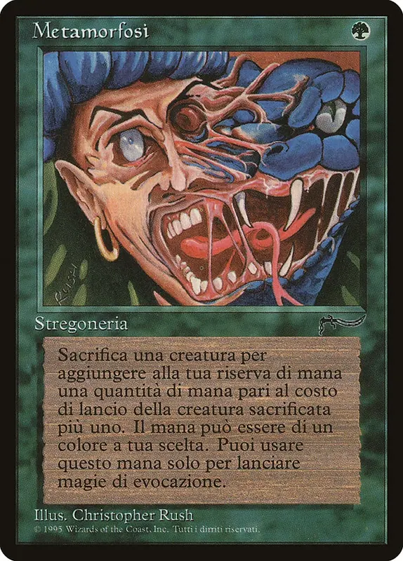 Metamorphosis (Italian) - "Metamorfosi" [Rinascimento]