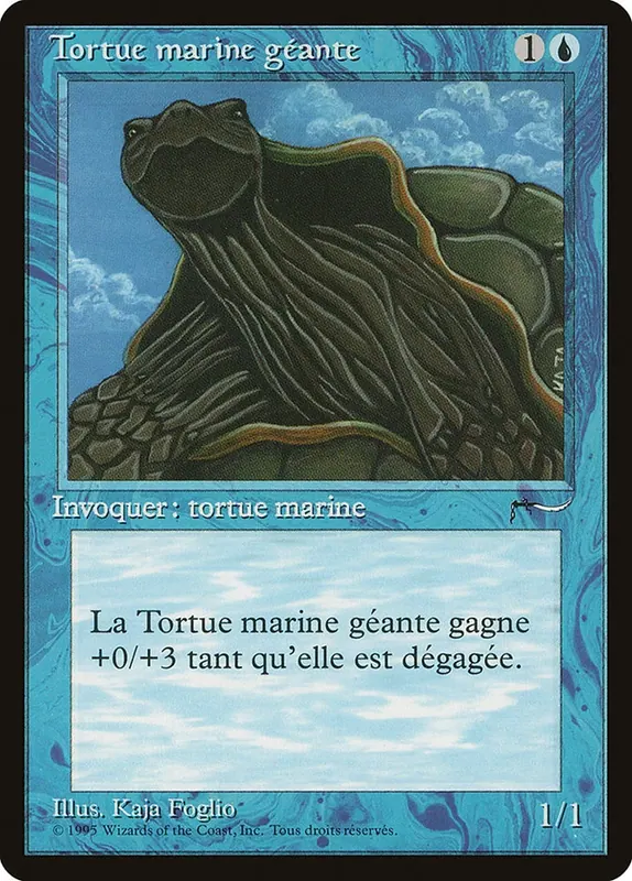 Giant Tortoise (French) - "Tortue marine geante" [Renaissance]