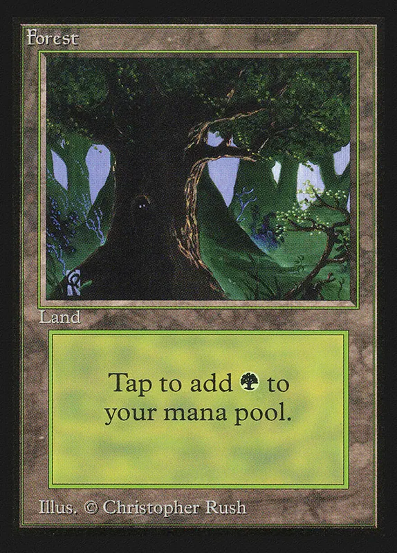 Forest [Intl. Collectors' Edition]