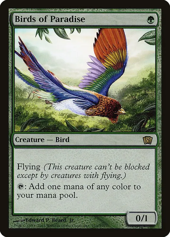 Birds of Paradise [Eighth Edition]