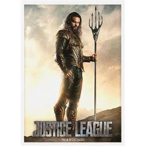 DRAGONSHIELD AQUAMAN ART MATTE