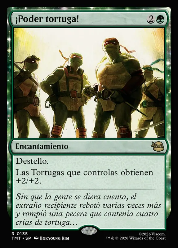 Turtle Power! [Teenage Mutant Ninja Turtles] - Español