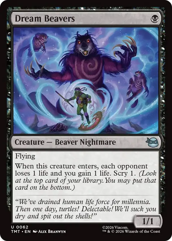 Dream Beavers [Teenage Mutant Ninja Turtles]