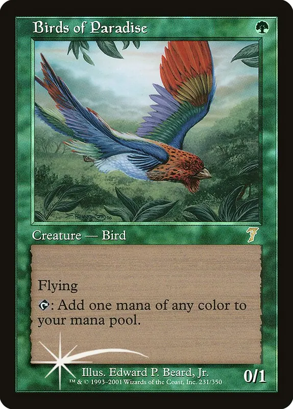 Birds of Paradise [Seventh Edition]