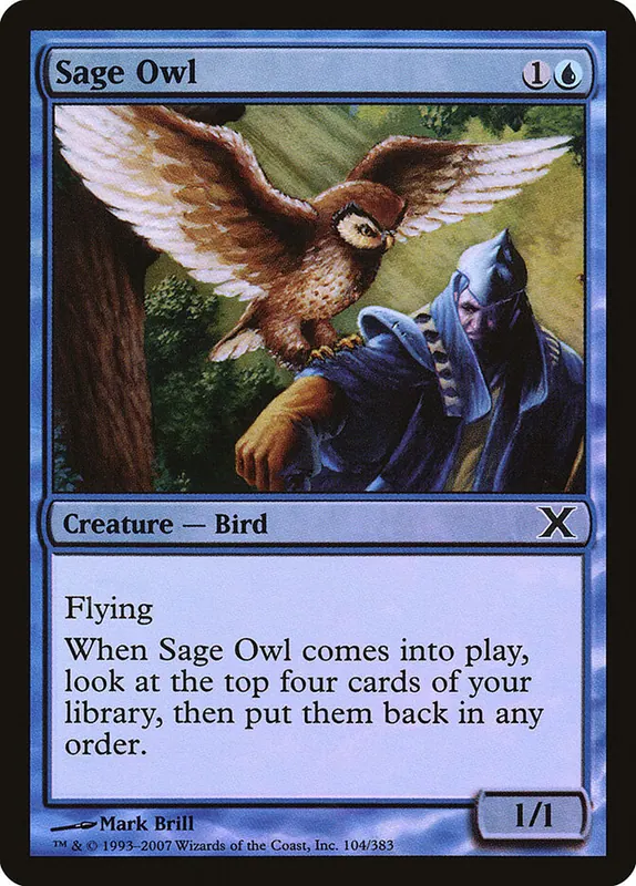 Sage Owl [Tenth Edition]