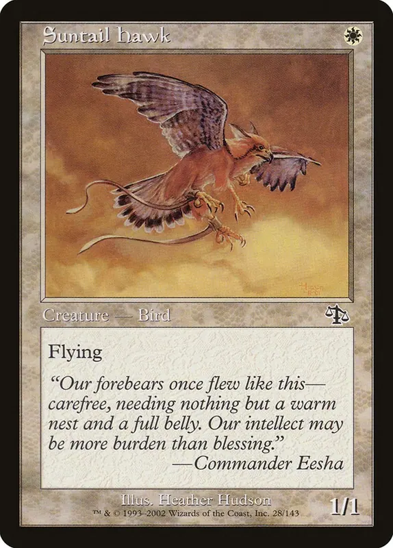 Suntail Hawk [Judgment] - Español