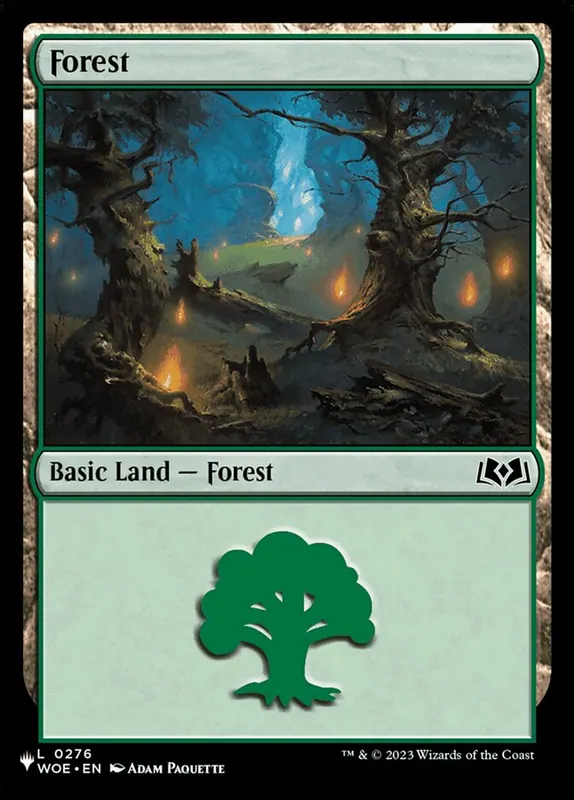 Forest [The List]