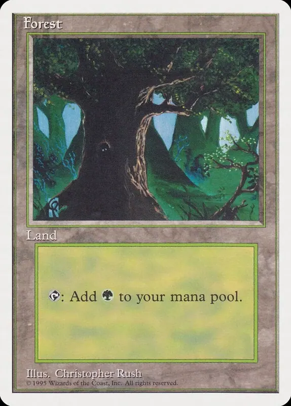 Forest (Creature in Tree Hole) [Rivals Quick Start Set]