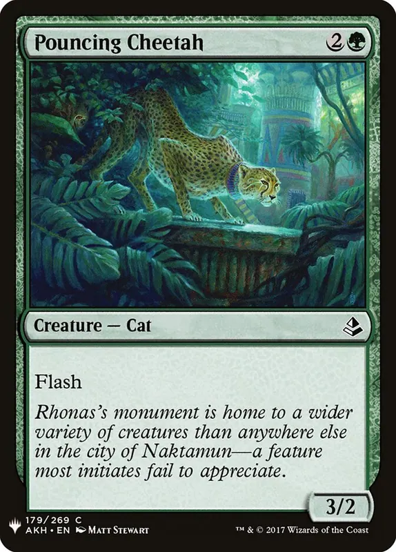 Pouncing Cheetah [The List]