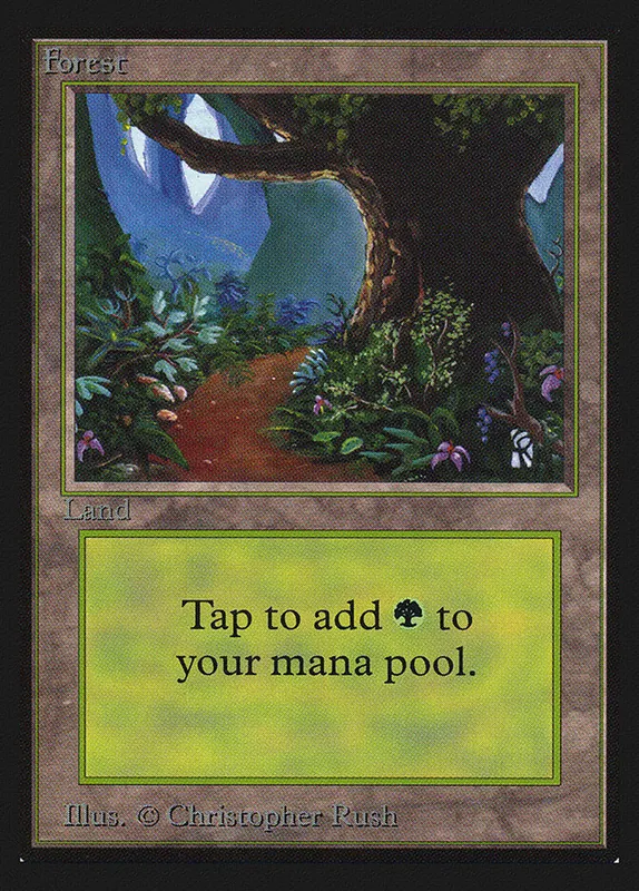 Forest [Collectors' Edition]