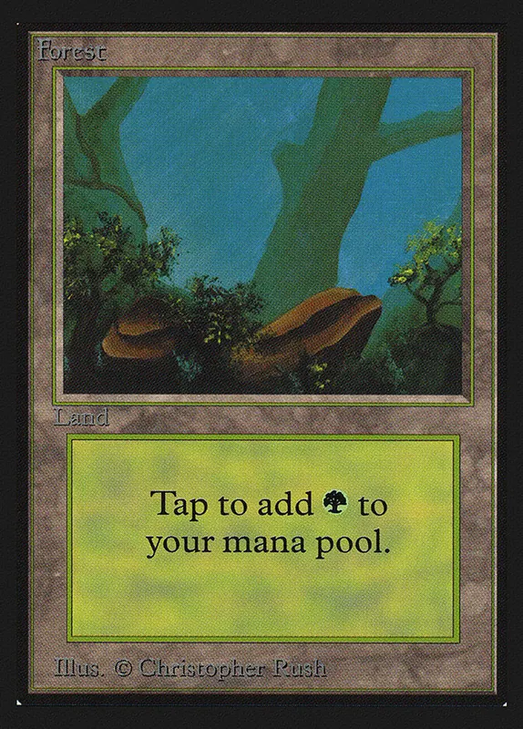 Forest [Collectors' Edition]