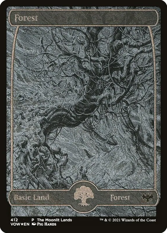 Forest [Innistrad: Crimson Vow]