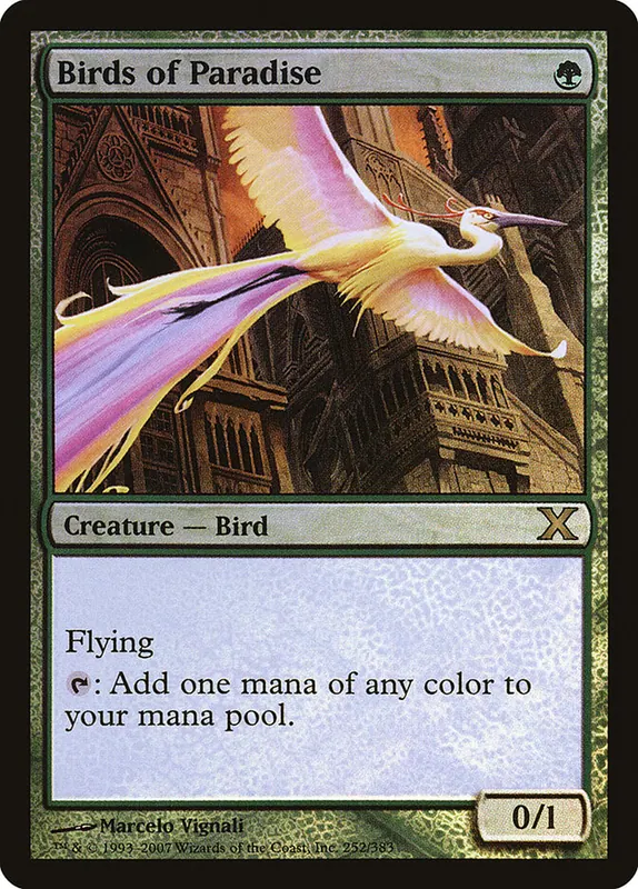 Birds of Paradise [Tenth Edition]